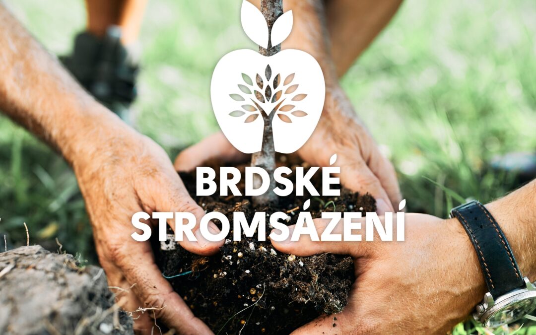 Brdské stromsázení