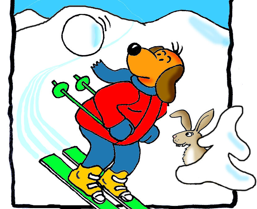 Instruktor lyžování/ Instruktor snowboardingu