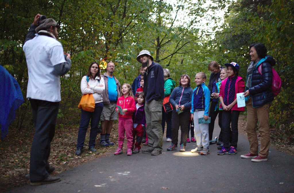 Lesem ke hvězdám 2015 – se zvídavou kometou