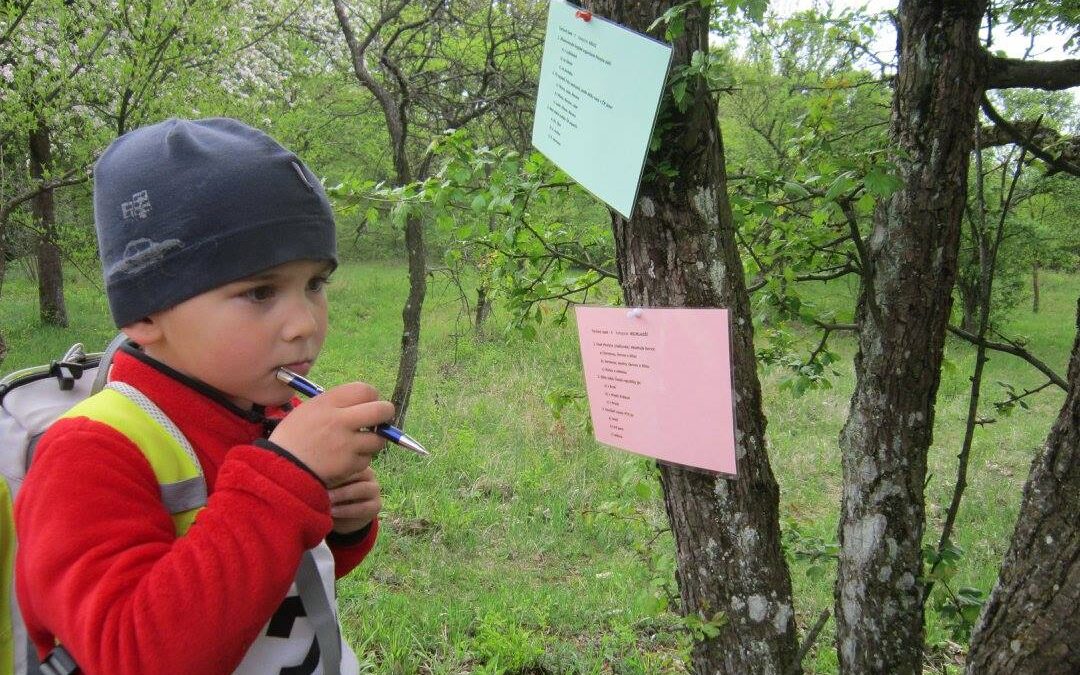 Brněnské pionýrské oddíly se utkají v&nbsp;tábornických dovednostech