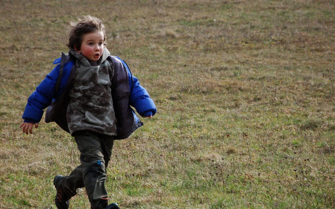 Pionýři budou soutěžit v&nbsp;orientačním běhu již tuto sobotu