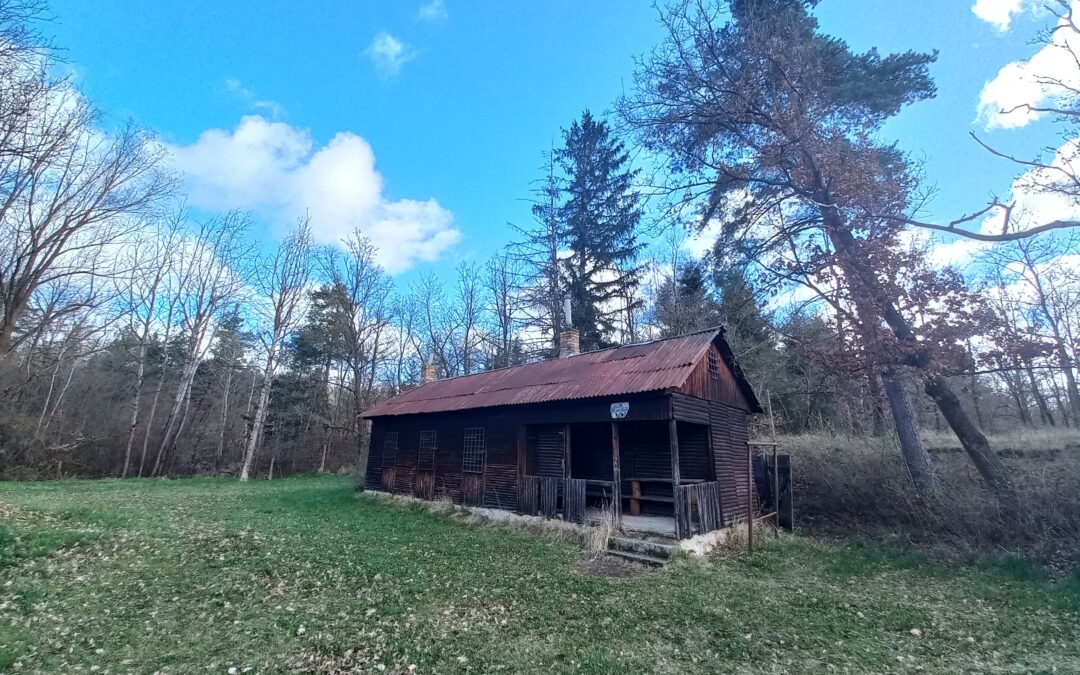 TZ v&nbsp;Protivíně hledá svého majitele 2