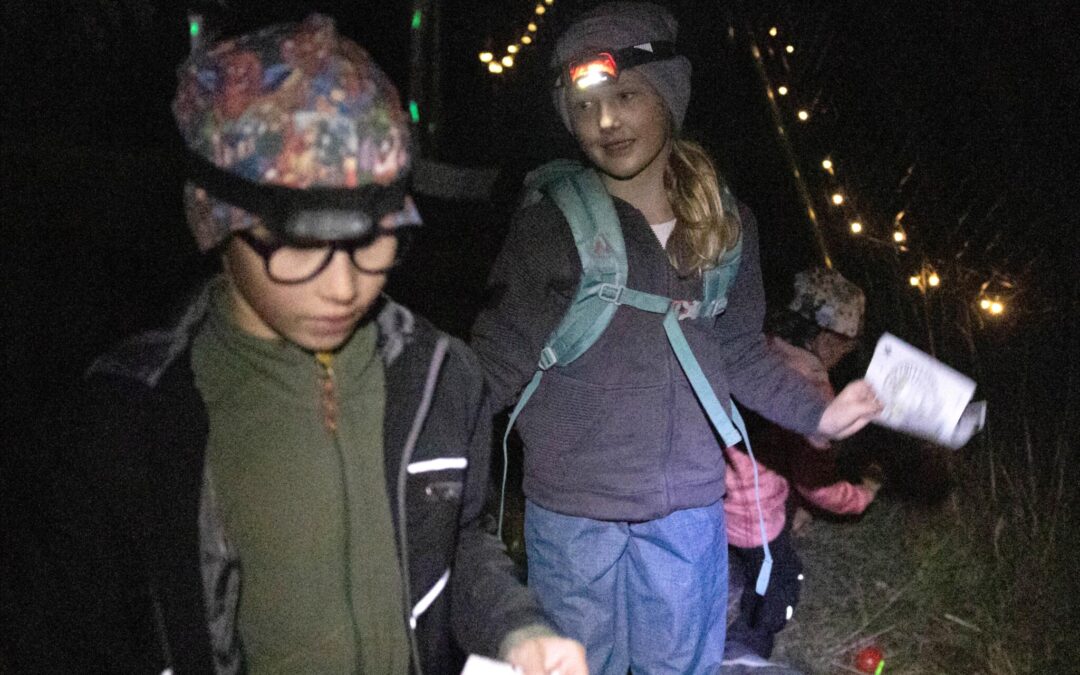 Lesem ke hvězdám s&nbsp;rekordní účastí