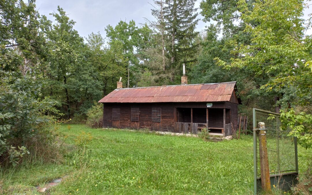 TZ v&nbsp;Protivíně hledá nového majitele